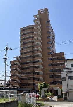IMG_4022.jpg