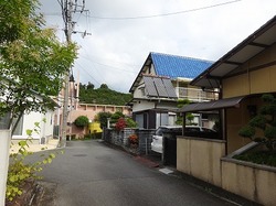 DSC04031.jpg