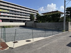 IMG_4747.jpg